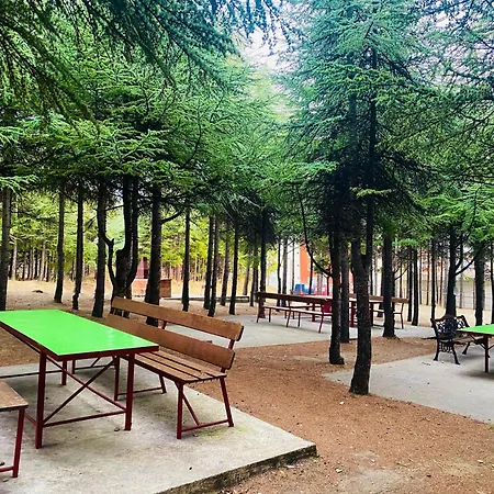 In * سفيتي فلاس